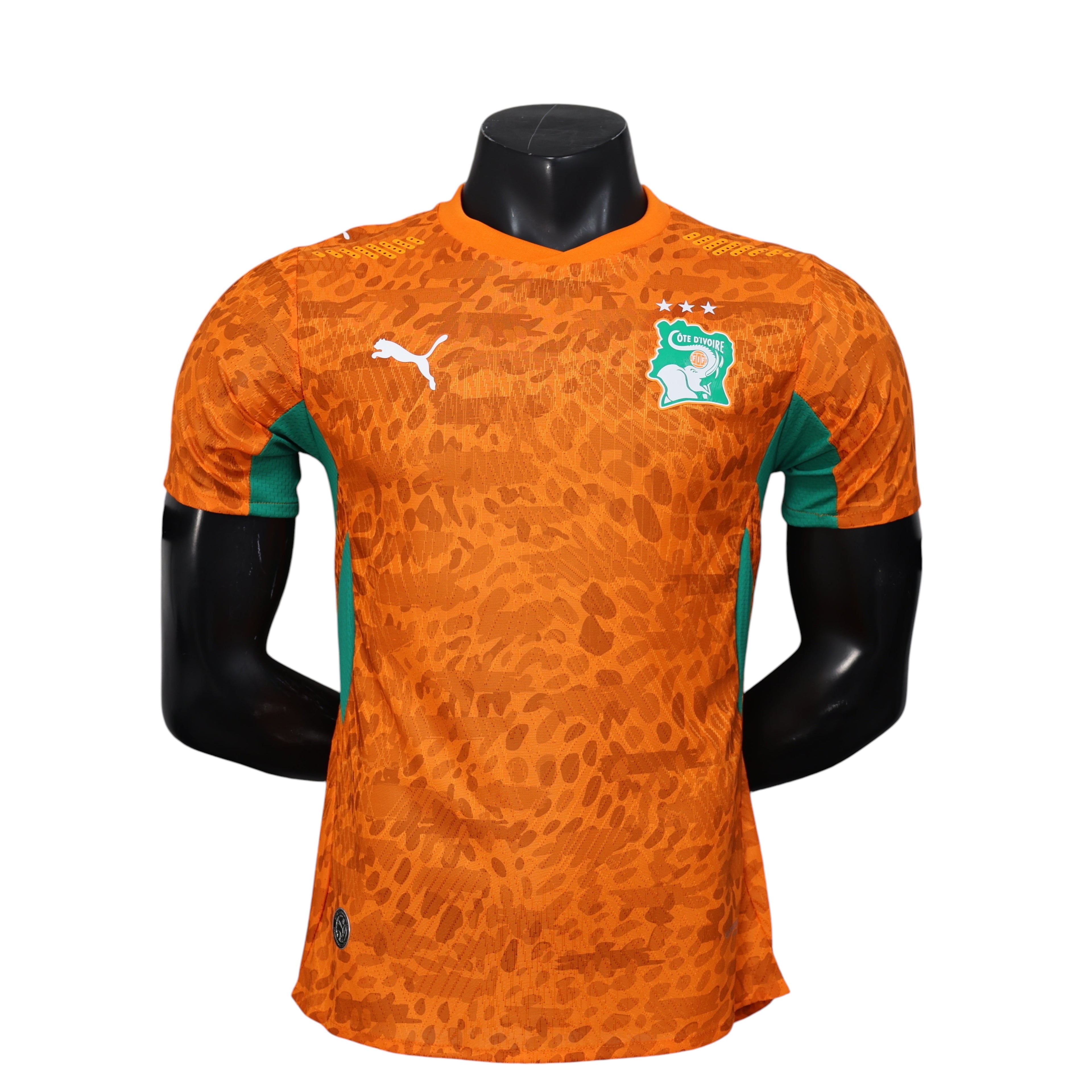 Cote d'ivoire 2026